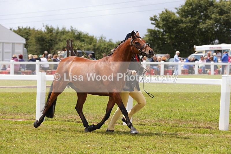 1X9A4722 - Class 35: Veteran In Hand