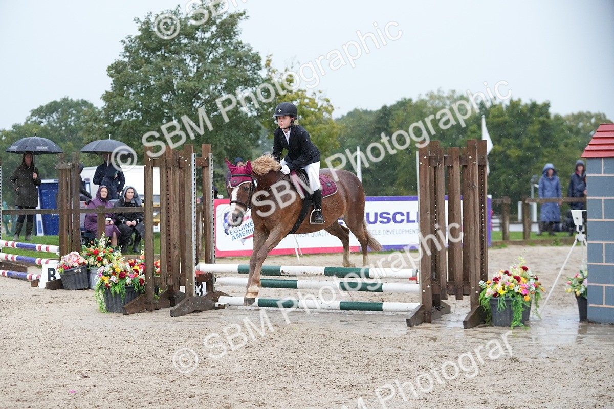 SBM_34099 - J5 - Junior Pony 50cm Championship