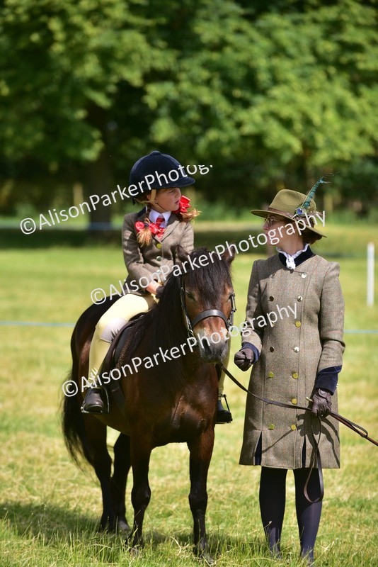 20260614-1197 - Class 11a - Lead Rein Pony (Unplaited)