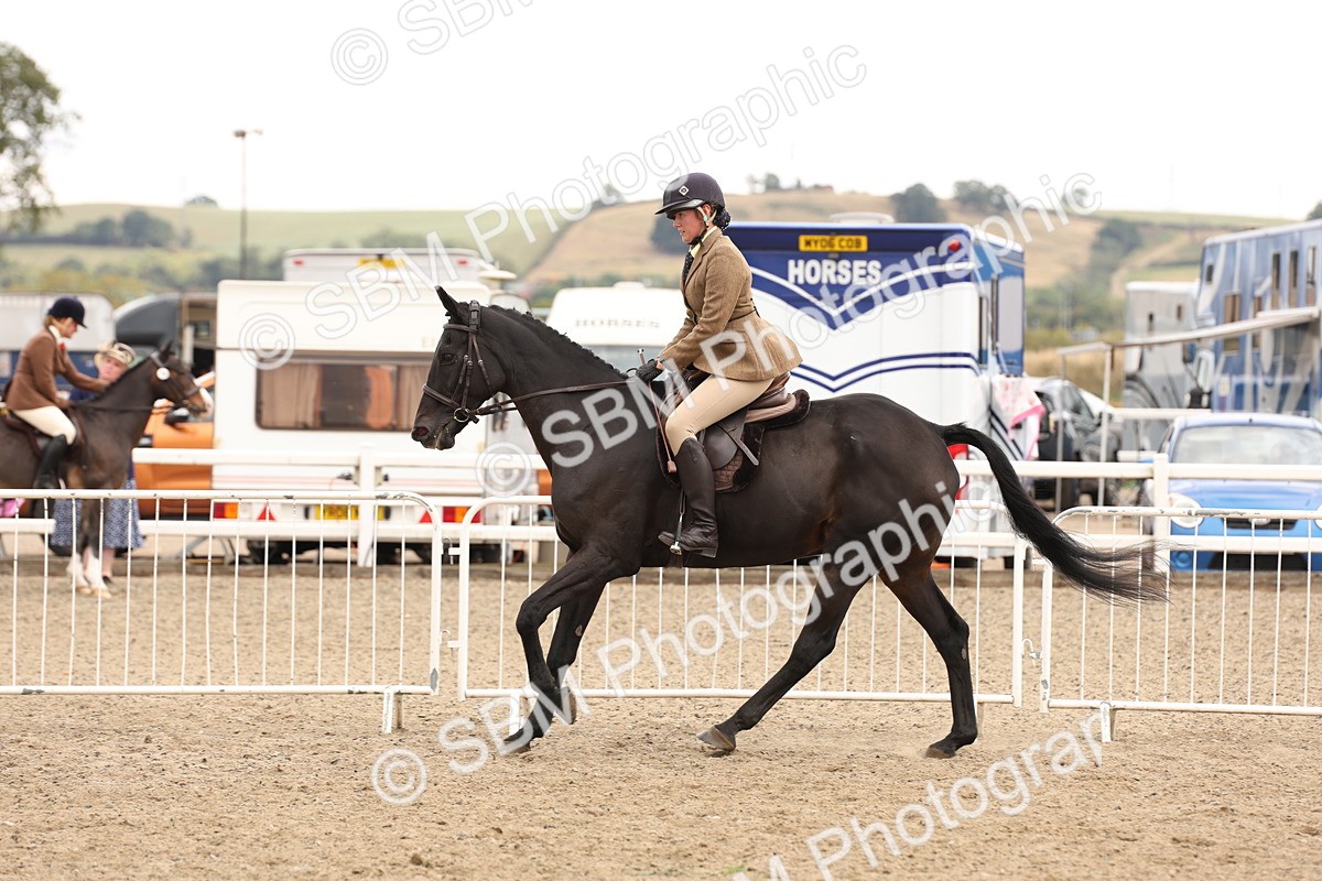 SBM_06208 - Class 57b -  Style & Performance - 60cm (20+)