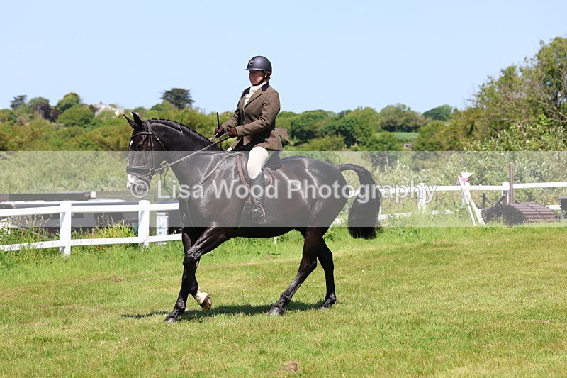 3E7A7210 - Class 30: Novice Working Hunter