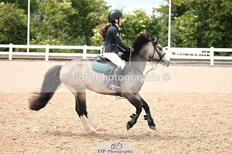 250608-133807-02983 - Cls 33,34+35 10Years, SS, Springboard and Winters