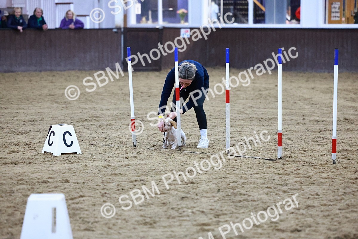 SBM_006188 - Evening Performance