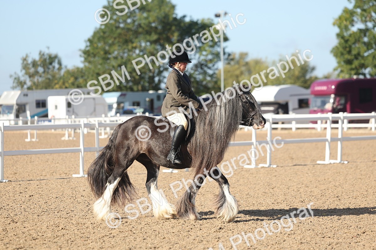 SBM_22196 - Class 802 - Ridden Groom Helpers Class