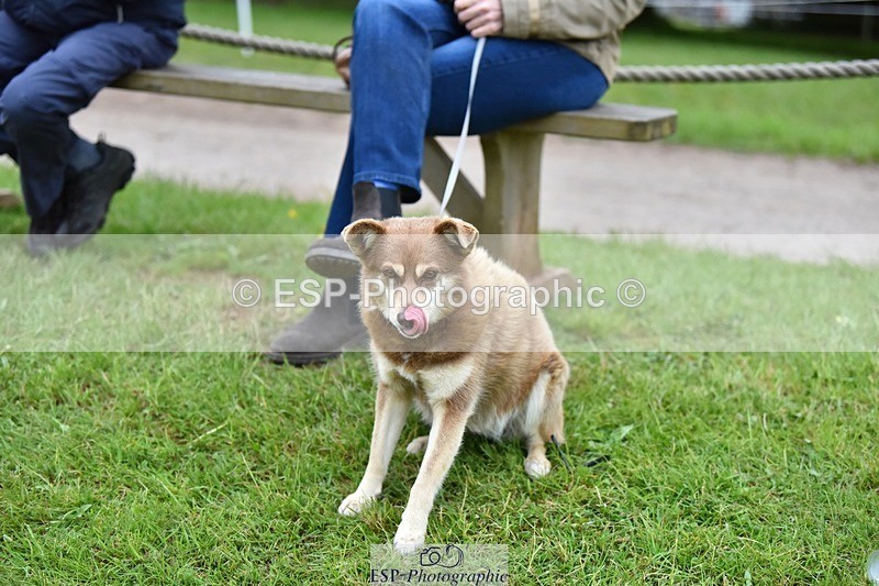 240523-193948-06608 - Candid and Saturday Hobby Horse