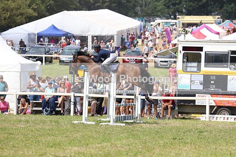 3E7A3401 - Class 10: Senior Foxhunter/1.20 open
