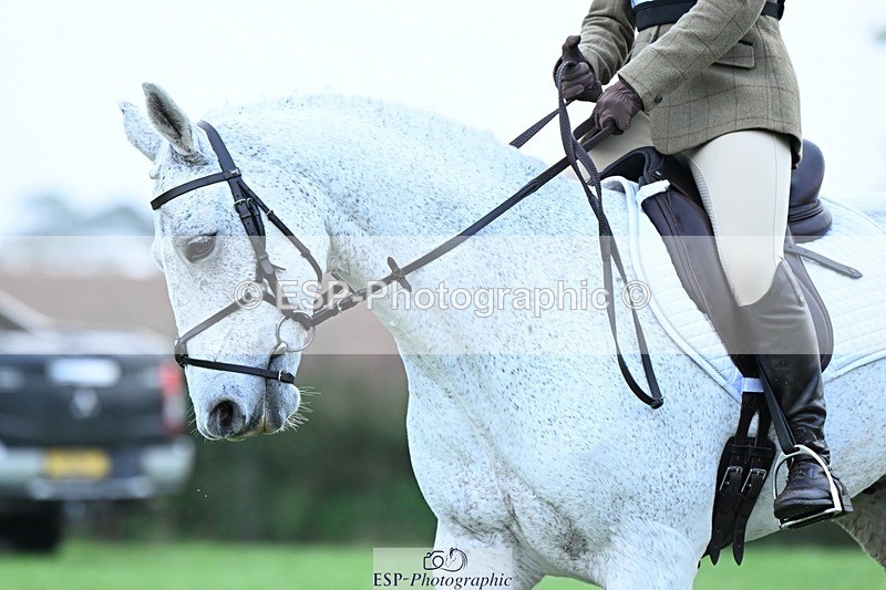 231020-090639-05537 - 457-KILLOUGHTER.GOLD.DUST-Olivia.McDonald-DR