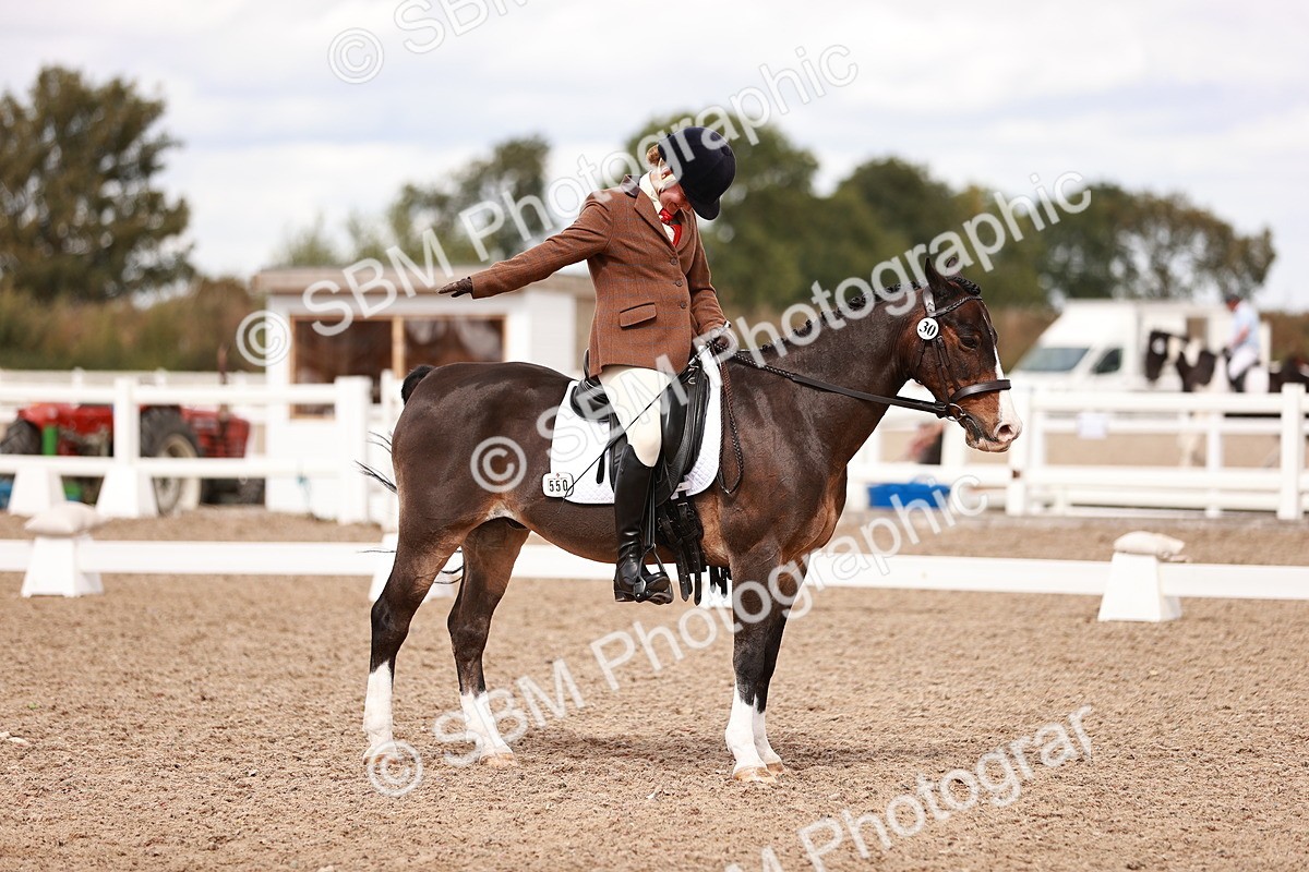 SBM_06258 - Class 37 - Novice 5