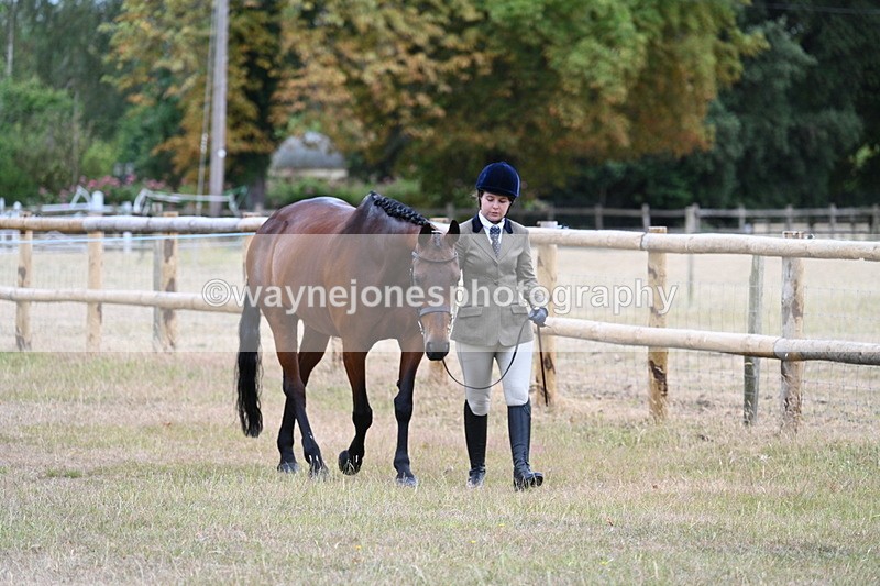 WJ7_8949 - Class 4a Prettiest Mare 14.2hh and over
