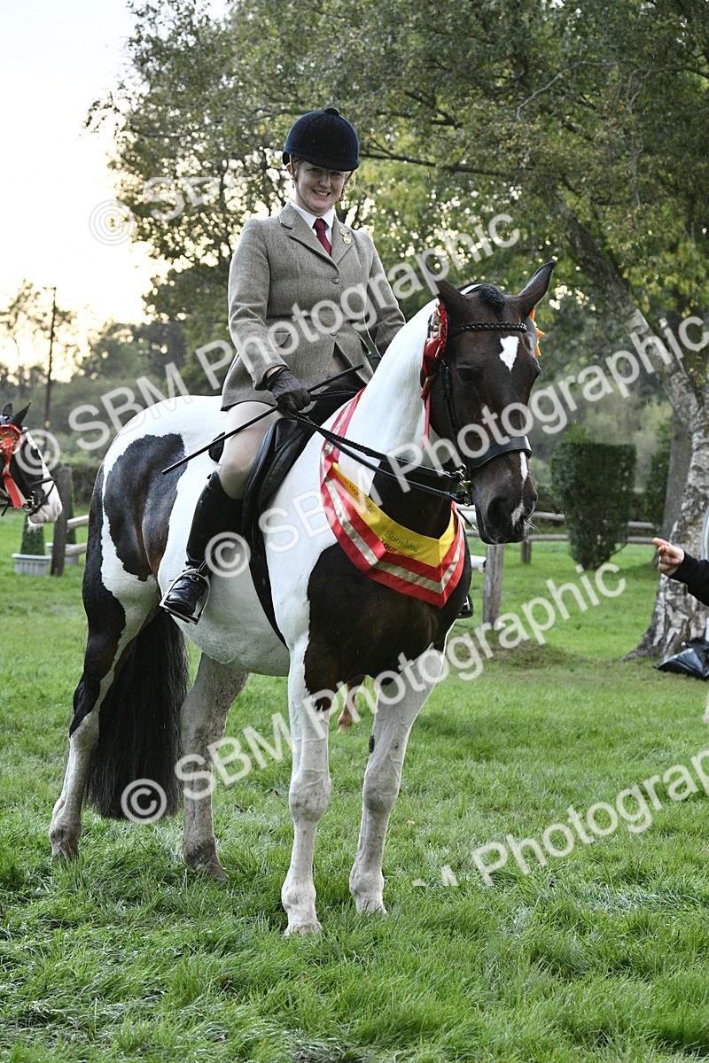 SBM_53343 - S14 - Riding Club Horse