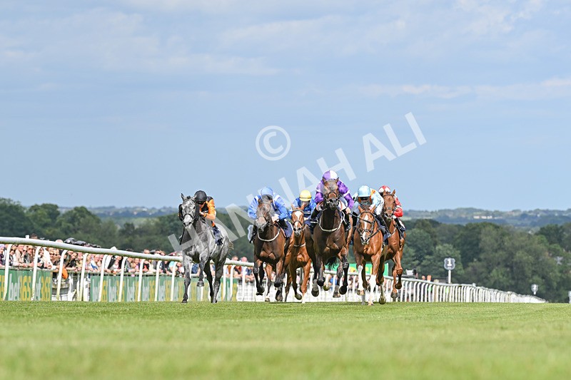 080624-Race 5-Ludos Landing-7443 - Race 5