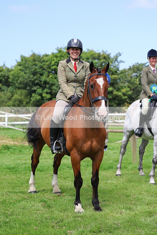 3E7A8812 - Class 5: Working Show Horse