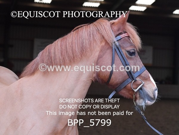 BPP_5799 - Sarah Page