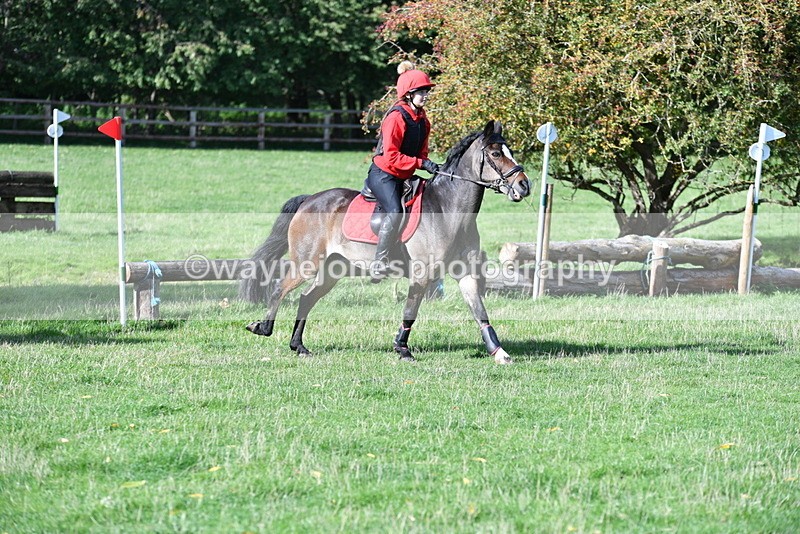 WJ5_7832 - Time 10:31 to 12:01