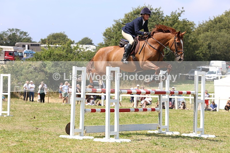 3E7A3361 - Class 10: Senior Foxhunter/1.20 open