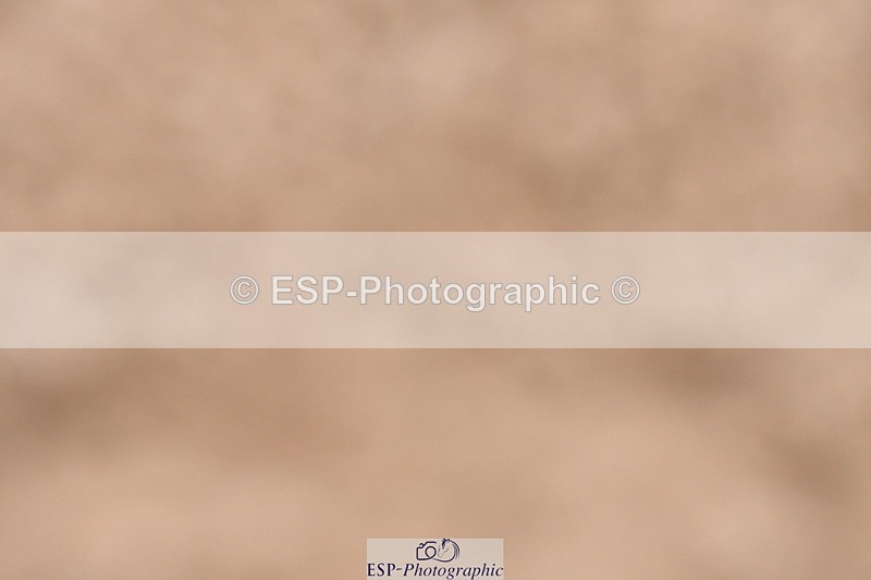 231217A-115423-00870 - Unaffiliated Classes