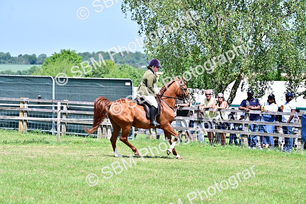 SBM_17399 - Class 95-97 - BSPS LHS Performance Ponies