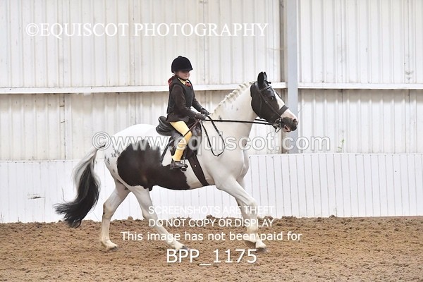 BPP_1175 - RING 2