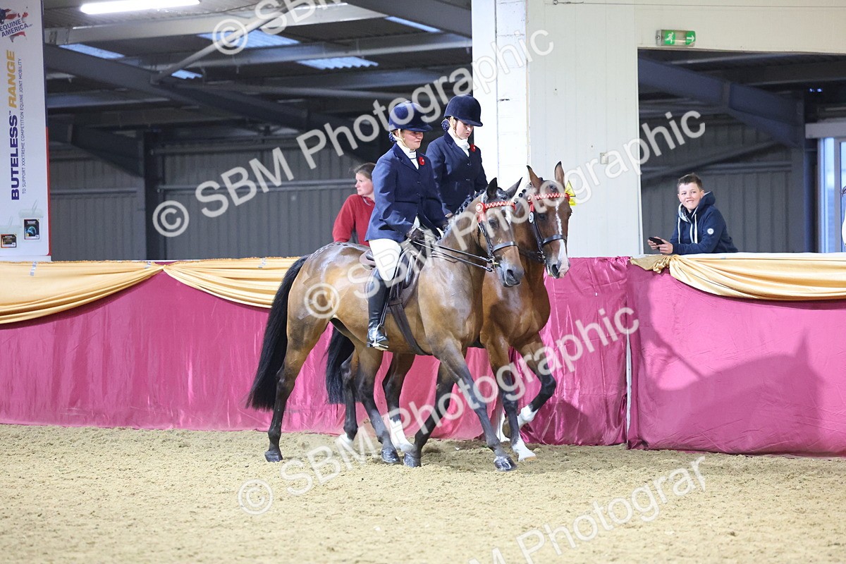 0B8A4341 - Class M Ridden Pairs Champ