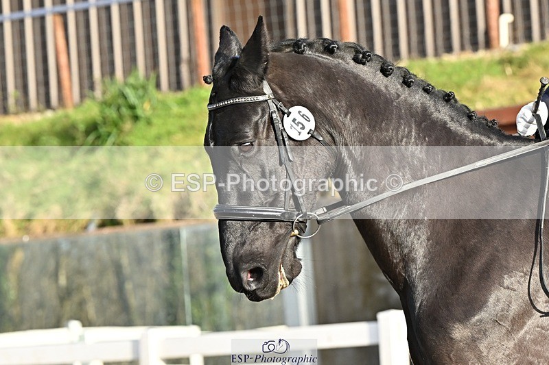 241214-132944-02450 - 156-Jo.Roberts-MajesticC