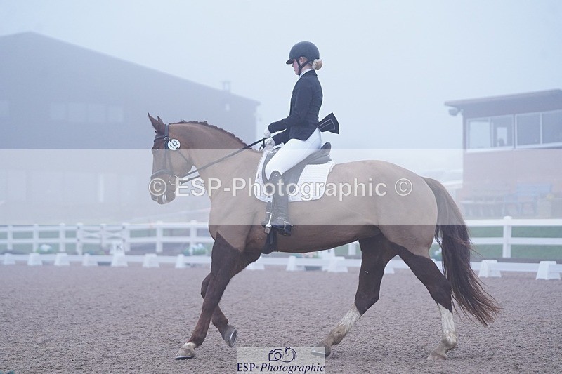 250215-094532-02697 - 142-Daisy.Hedges-Felicia.v