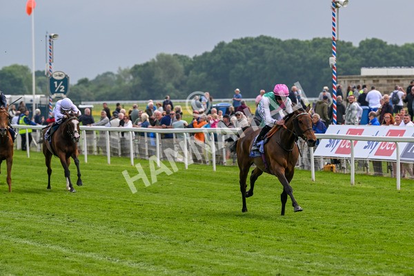 160524-Race 3-Bluestocking-5632 - Race 3 3.15pm  Al Basti Equiworld Dubai Middleton Fillies' Stakes