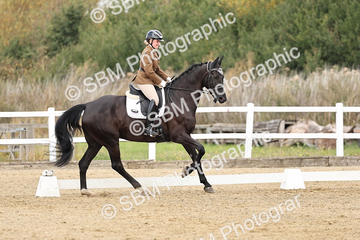 SBM_018262 - Class 16 - Novice 5 - 11.12-12.01