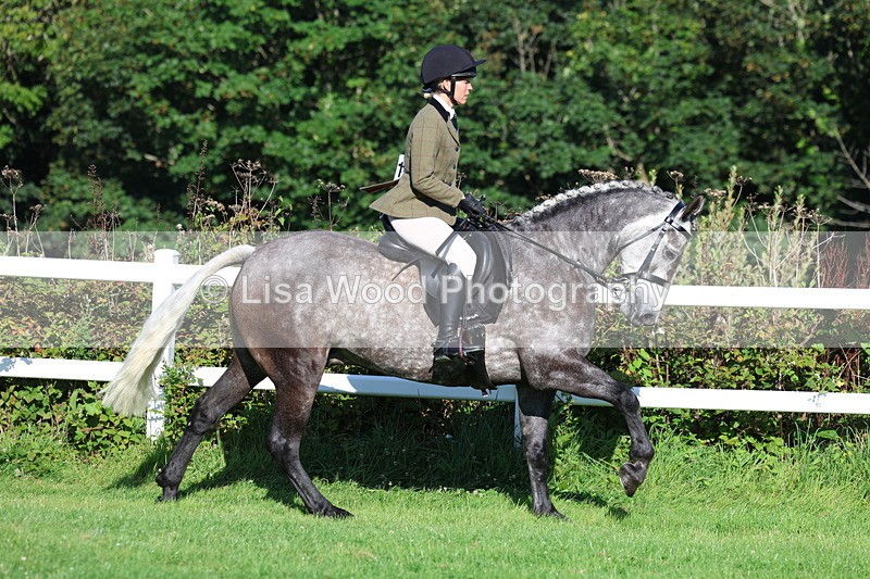 3E7A7585 - Class 1: Novice Working Hunter Pony