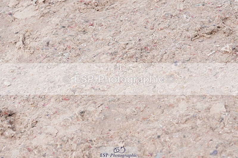 250510-123014-11296 - Cls 15 Prestige Big Star Quali  1st Jump Off