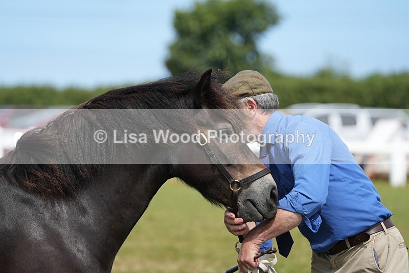 DSC05574 - Class 50: NPS M&M 4 years and over Small Breeds