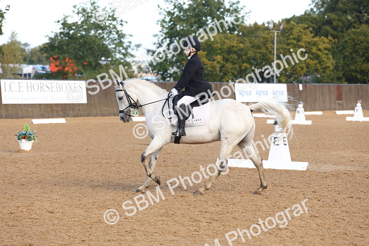 SBM_37511 - D18 - Grand Tour Championship Novice 2
