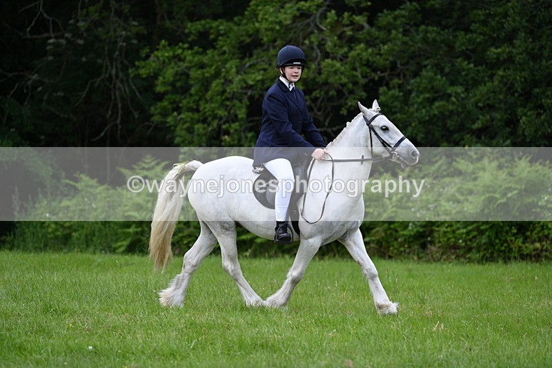 WJ7_2583 - Class 12A Coloured Class