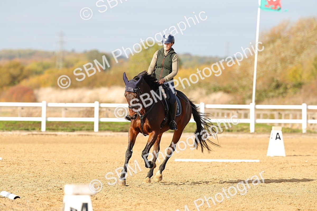 SBM_000856 - Class 3-12 - CT P2 60cm - DR P2