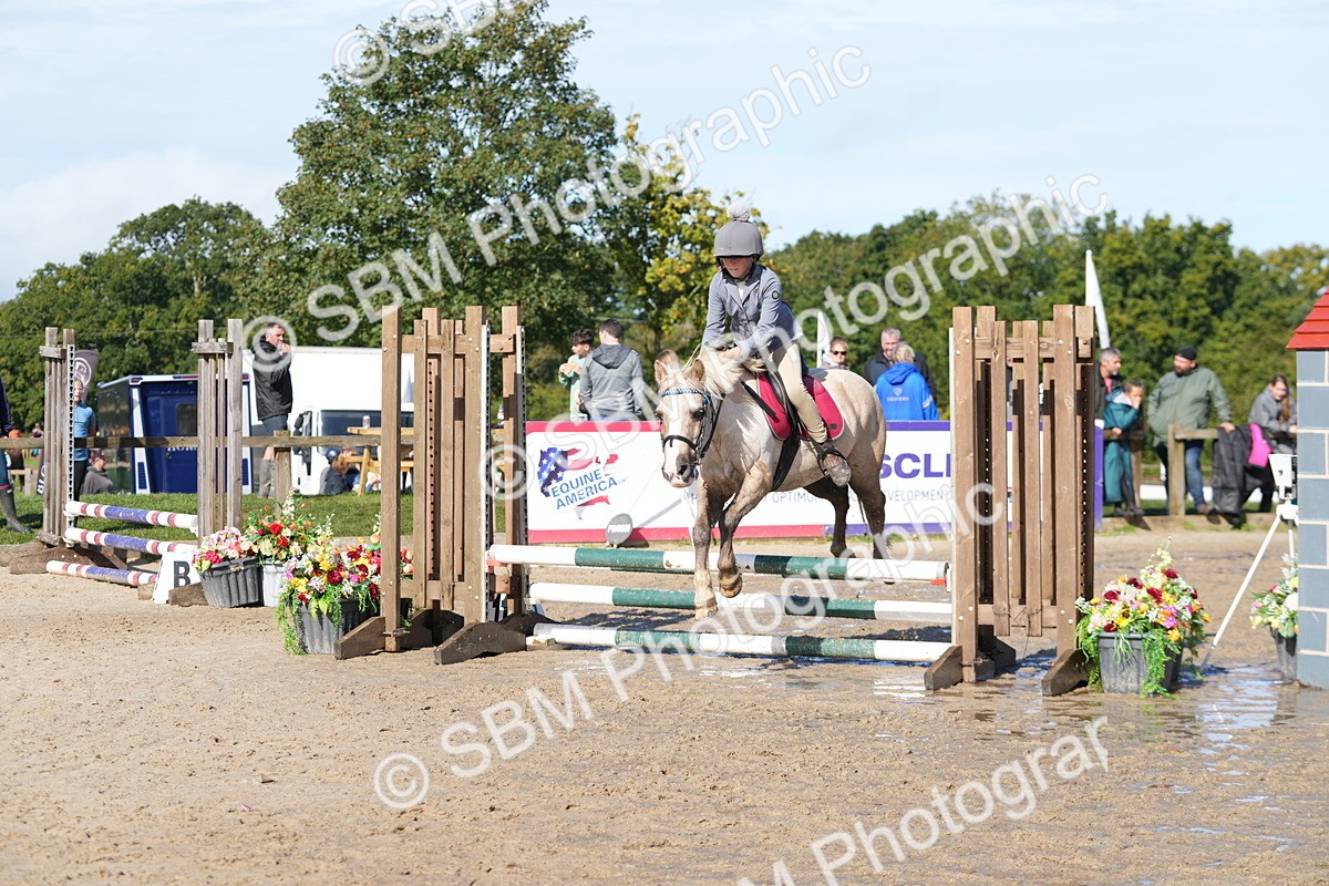 SBM_38323 - J6 - Junior Pony 55cm Championship