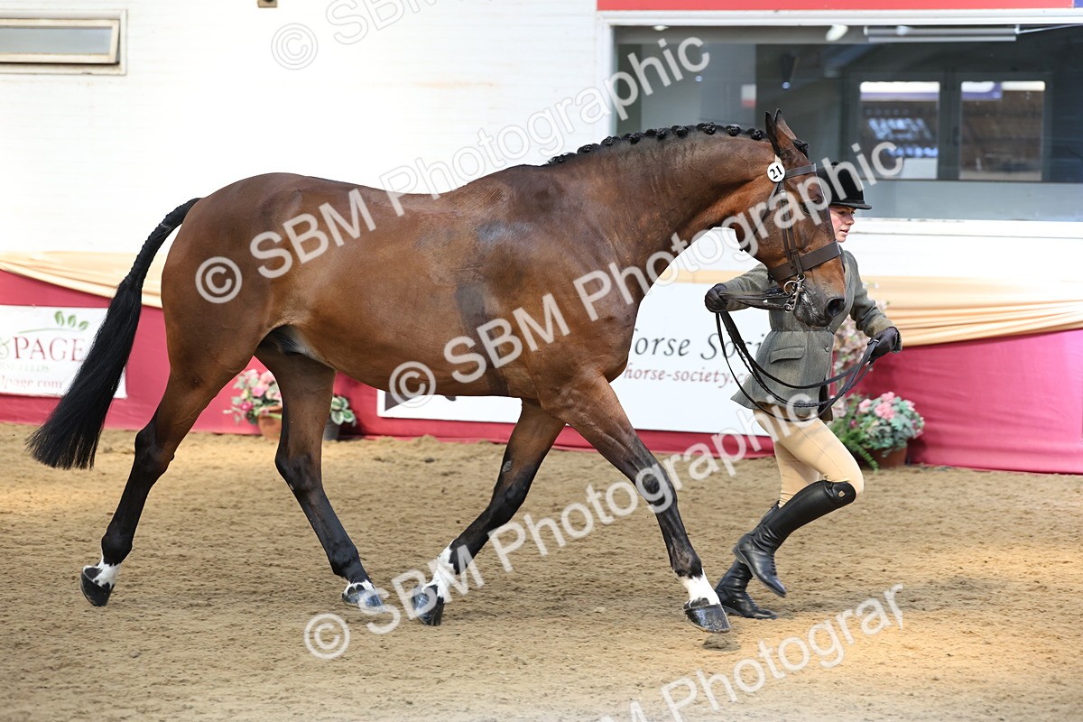 SBM_24146 - Class 905 - Supreme Final - Ridden Veteran