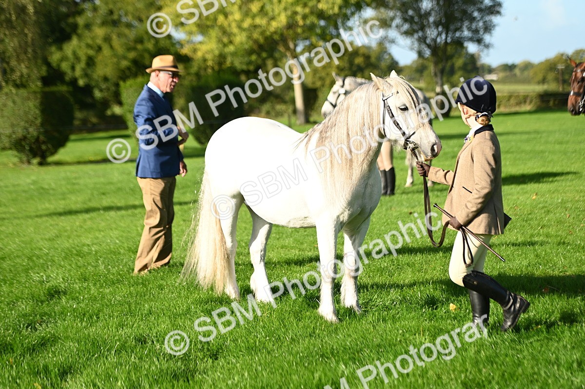 SBM_14770 - S1 - TSR in Hand Horse & Pony Showing