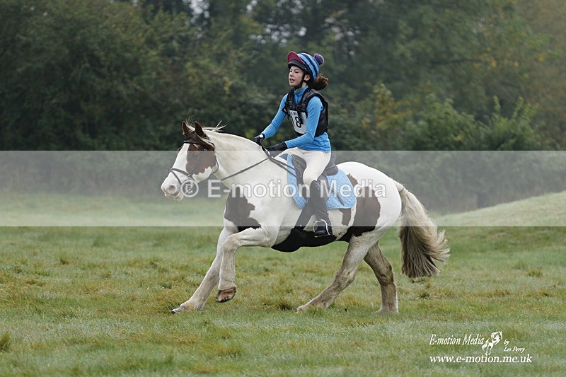 WWHT 171021 0465 - Novice Restricted (0.80m)  17/10/21
