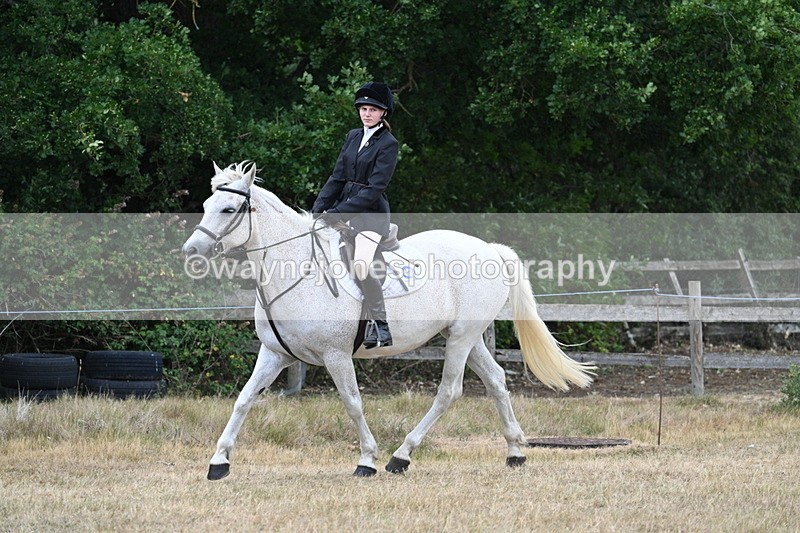 WJ7_0934 - Class 7 Riding Club Show Horse