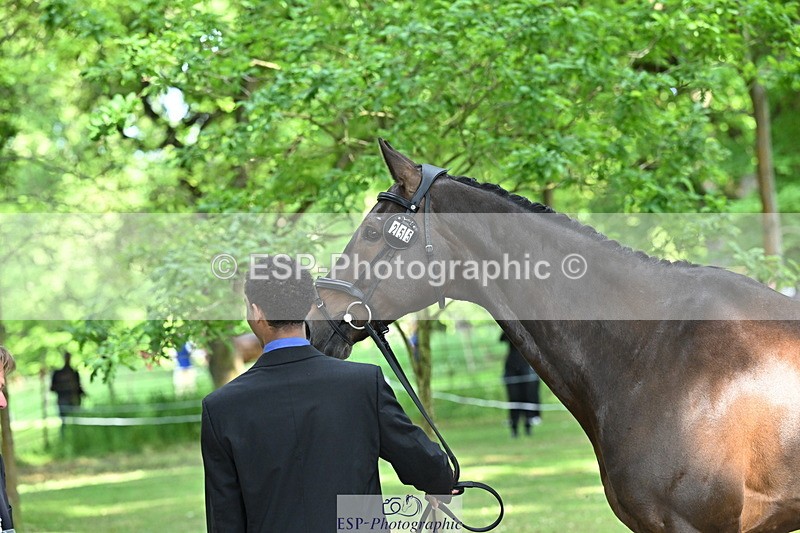 250521A-164230-01292 - C-255-Rupert.Hyde-LEONIDAS.VAN.DE.CRUMELHAEVE