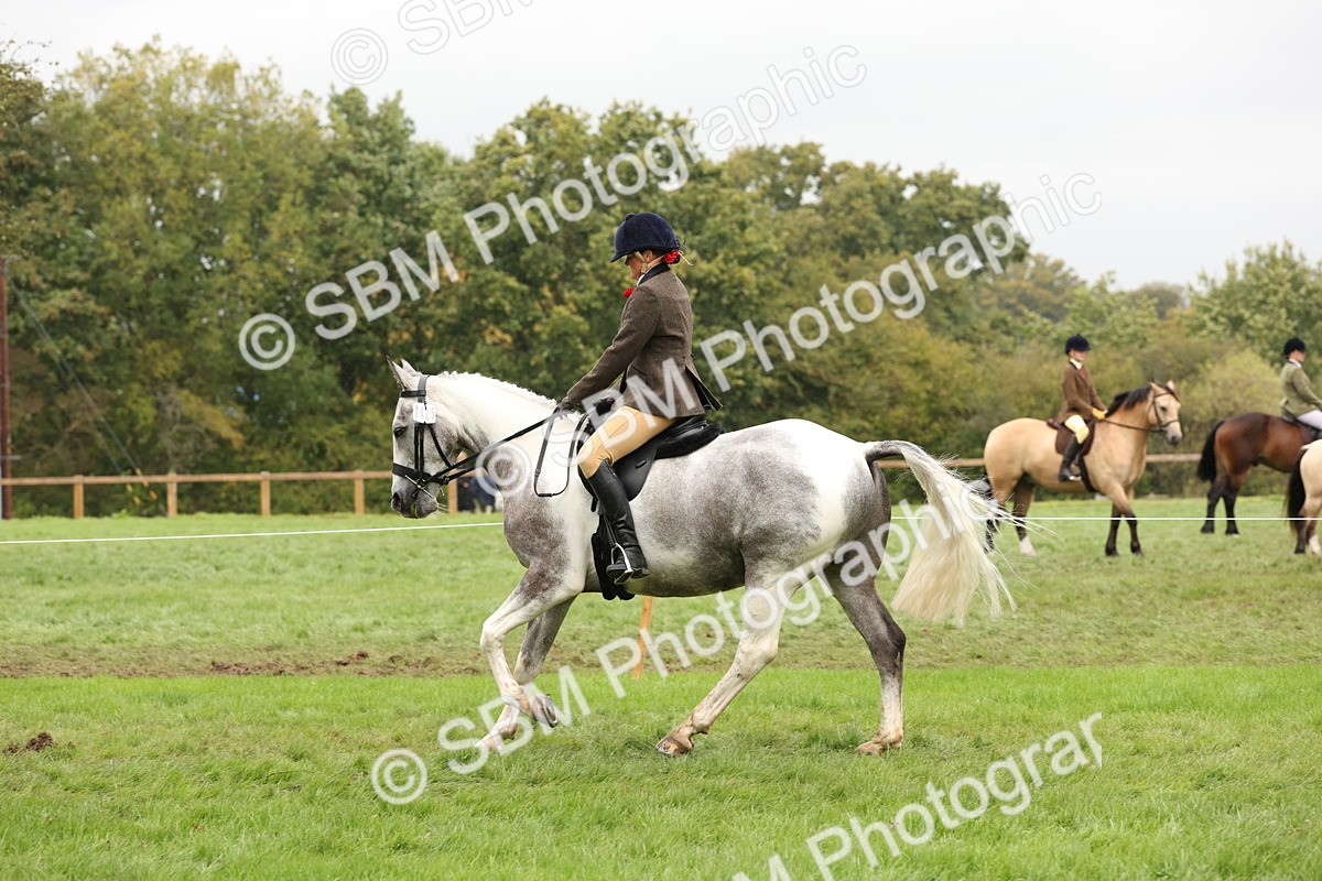 SBM_69893 - S68 - Other Coloured Horse Ridden