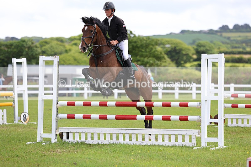 3E7A7345 - Class 13: Senior British Novice/90cm open