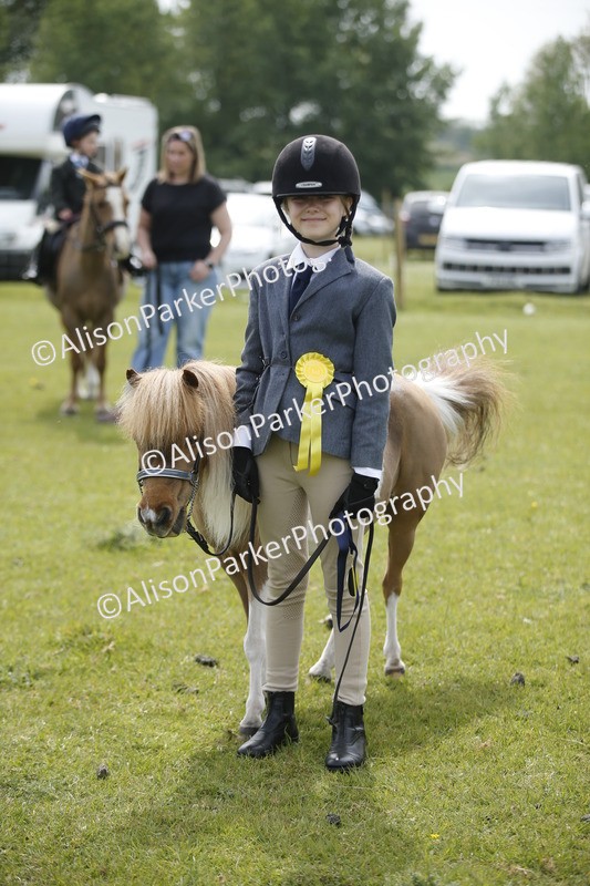 20260426-1963 - Class 8 - Prettiest Mare
