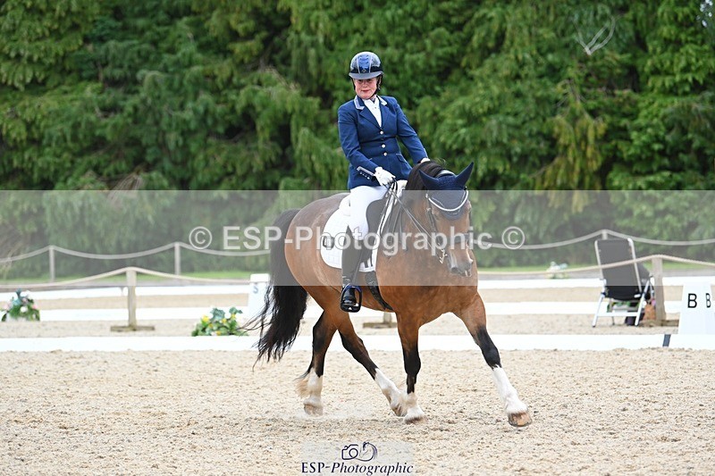 230813-142145-07741 - Cls 13 Medium Bronze 13.15 to End