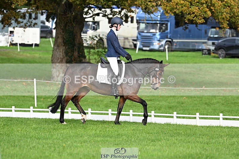 251023A-105819-02654 - G-511-Clara.Tuke