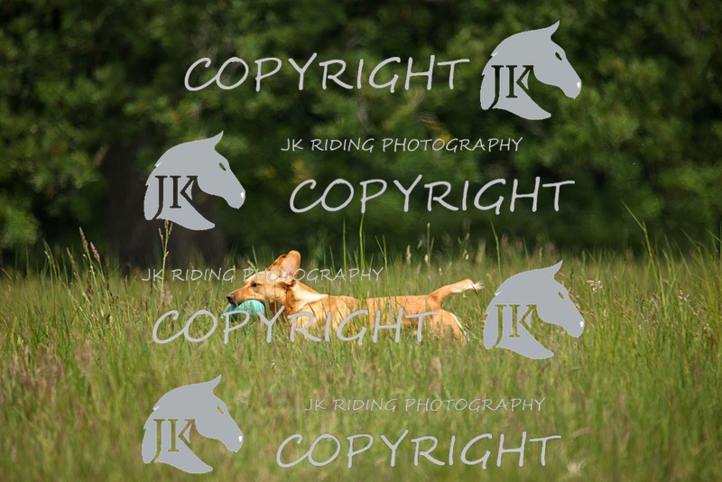 2R6A8598 - 34 Christopher