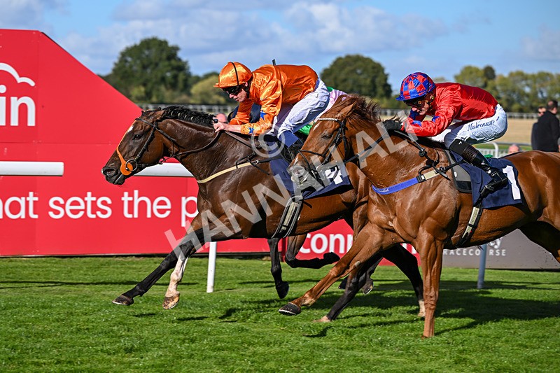 230925-Race 4-Elegant Erin-0689 - Race 4