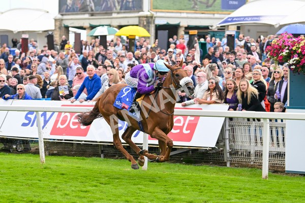 240824-Race 1-See The Fire-0996 - Race 1 1.50pm Sky Bet Strensall Stakes