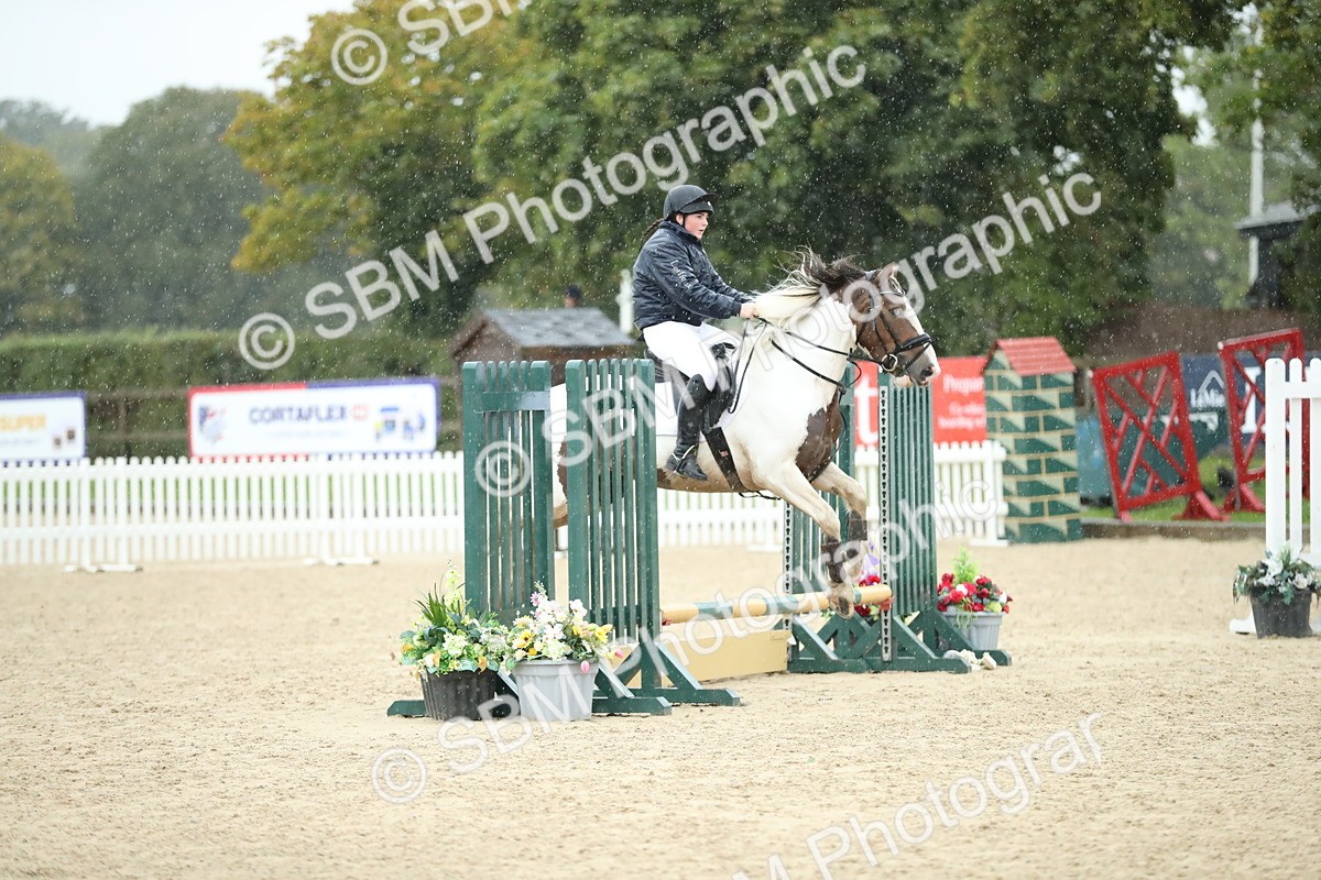 SBM_37115 - J20 - Junior Horse 50cm Championship