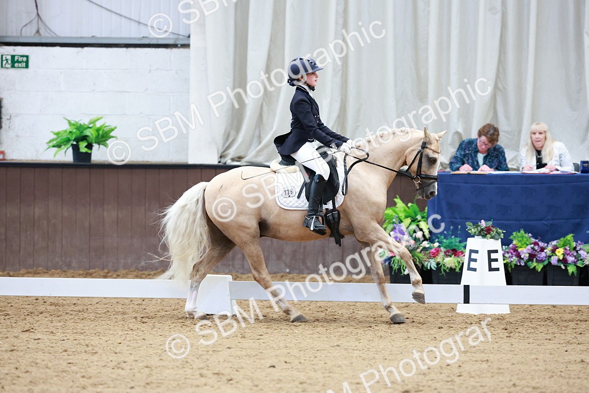 SBM_017393 - Class15 - FEI Pony