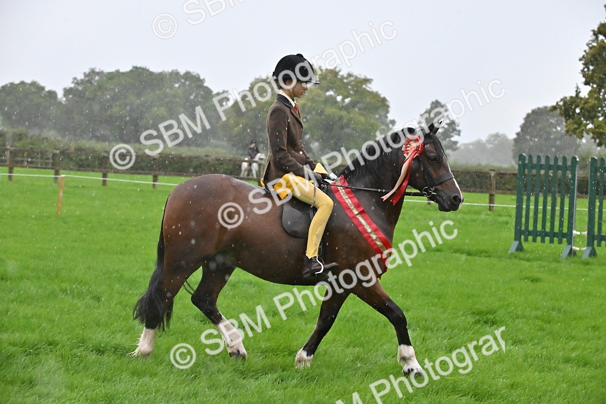SBM_36564 - Top Turnout Supreme Championship